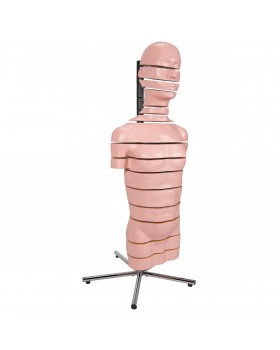 Diskli Torso Modeli, 15 Disk