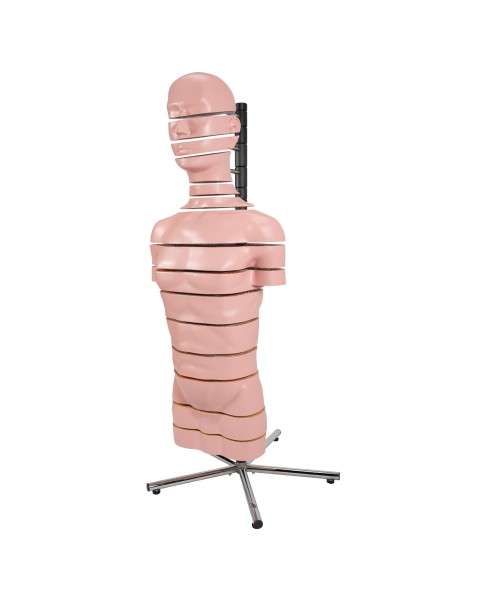 Diskli Torso Modeli, 15 Disk