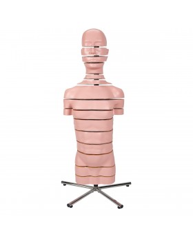 Diskli Torso Modeli, 15 Disk
