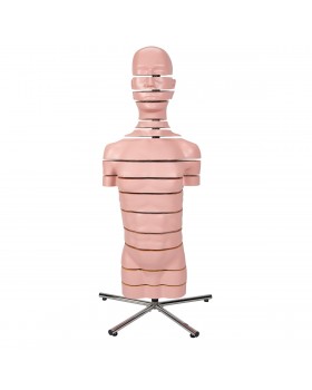 Diskli Torso Modeli, 15 Disk