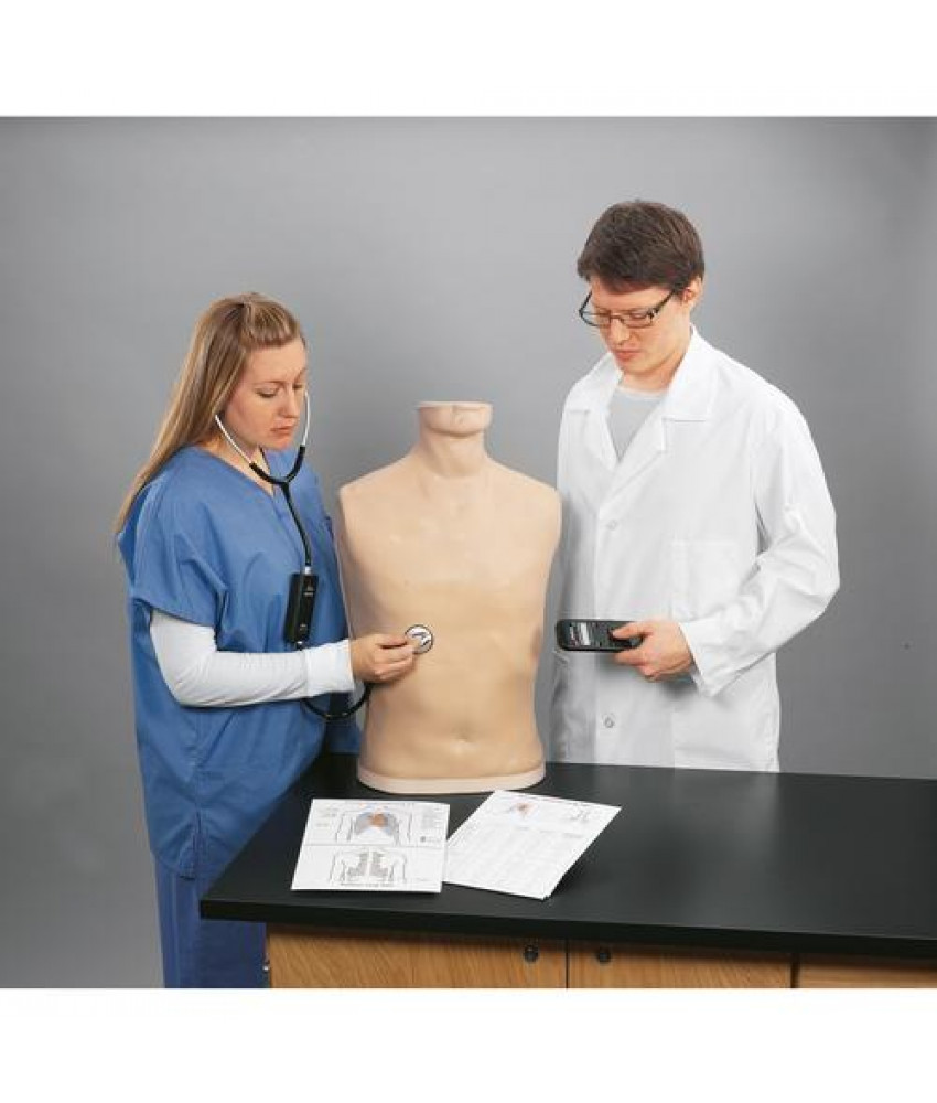 Kalp ve Akciğer Sesleri Dinleme Maketi