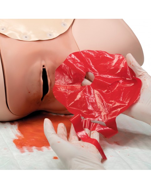 Doğum Sonrası Kanama (Postpartum Hemorrhage) Eğitim Simülatörü