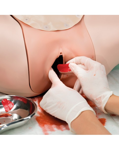 Doğum Sonrası Kanama (Postpartum Hemorrhage) Eğitim Simülatörü