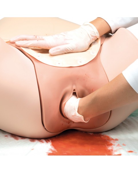 Doğum Sonrası Kanama (Postpartum Hemorrhage) Eğitim Simülatörü