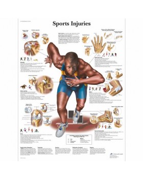 Spor Yaralanmaları Posteri