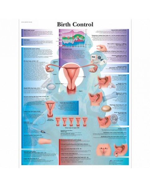 Doğum Kontrol Posteri