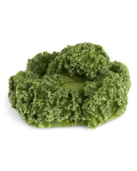 Brokoli Besin Replikası - 1/2 Kase (120ml)