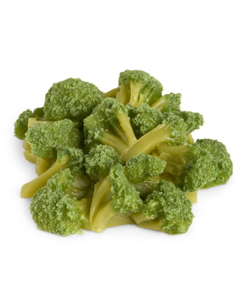 Brokoli Besin Replikası - 1 Bardak (240 ml)