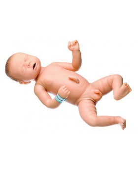 Yenidoğan Bebek Modeli. Erkek